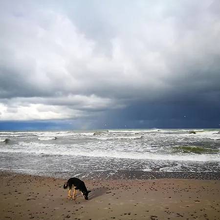 Гостевой дом Provincija 4*