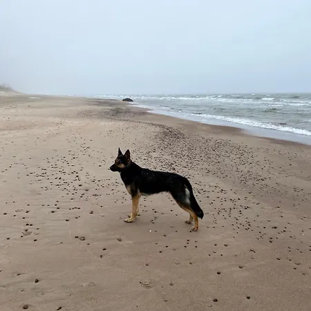 Provincija Гостевой дом 4*