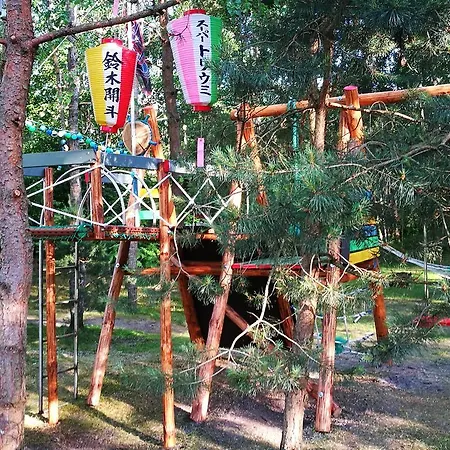 Provincija 4* Паланга