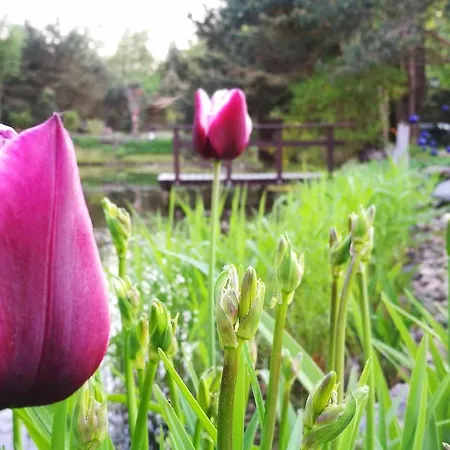 Provincija Гостевой дом