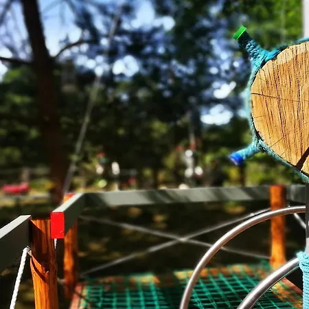 Provincija Паланга