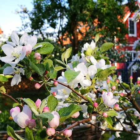 Provincija 4* Паланга