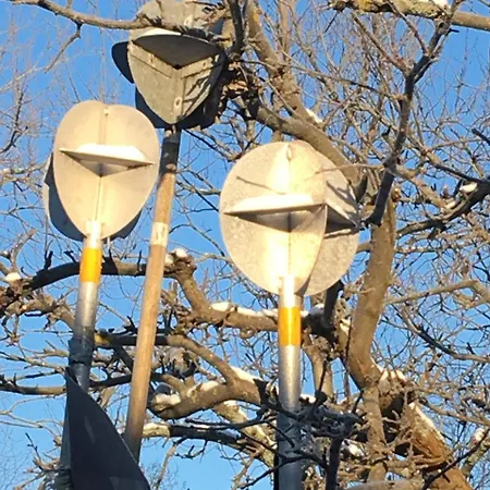 Provincija Паланга