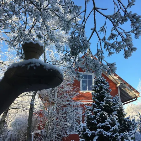 Provincija Гостевой дом Паланга