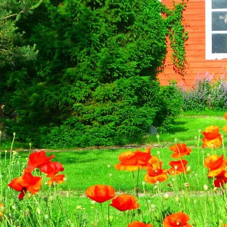 Provincija 4* Паланга