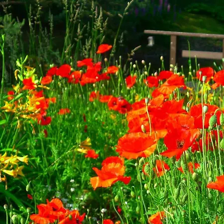 Гостевой дом Provincija Паланга