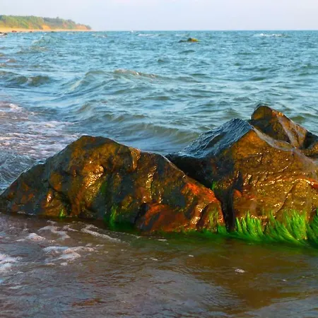 Provincija Konukevi Palanga
