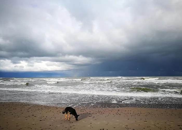 בית הארחה Provincija 3*