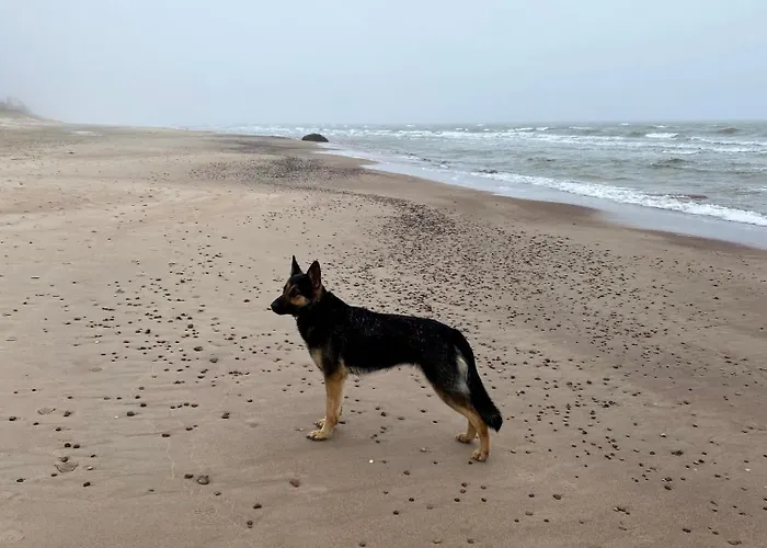 Provincija בית הארחה 3*