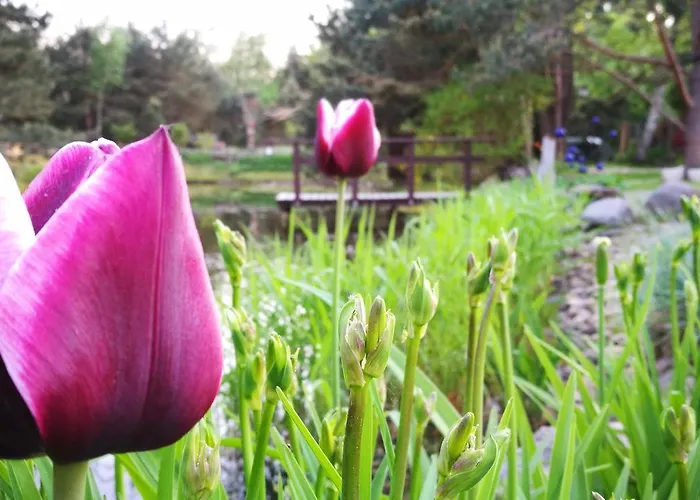 Provincija בית הארחה