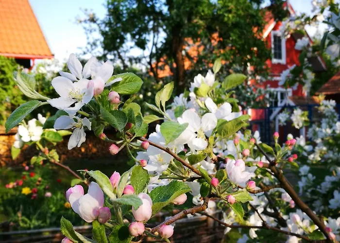 Provincija 3* פלאנגה