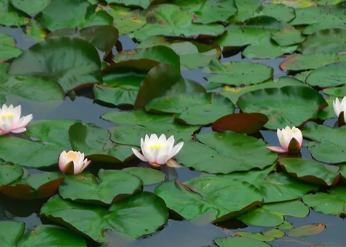 בית הארחה Provincija 3*