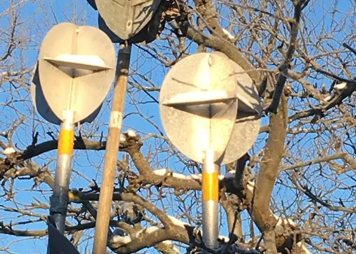 Provincija פלאנגה