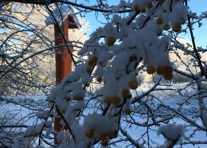 Provincija בית הארחה 3*