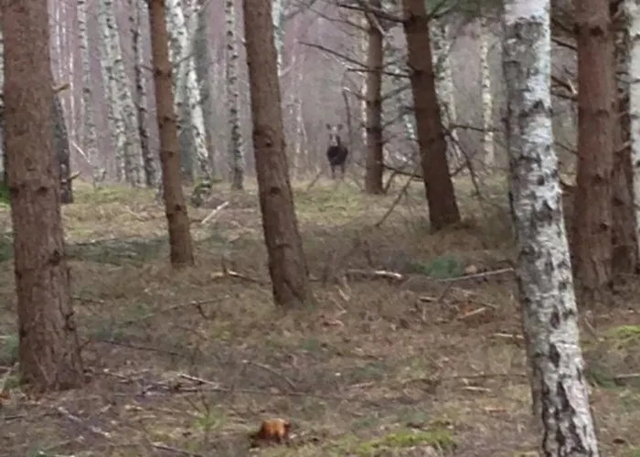 Provincija בית הארחה 3*