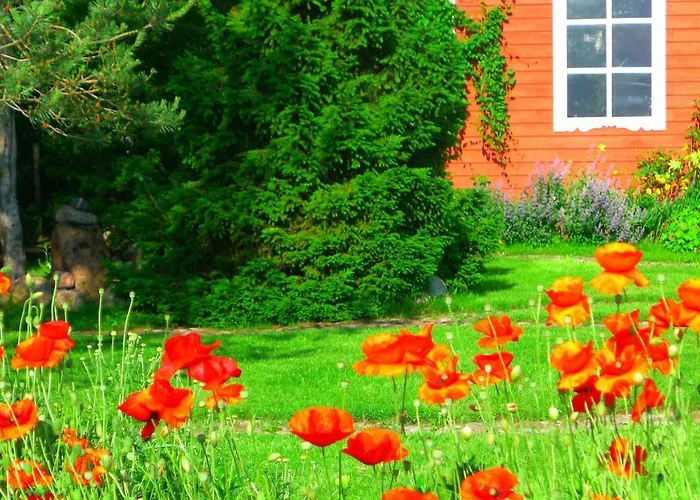 Provincija 3* פלאנגה