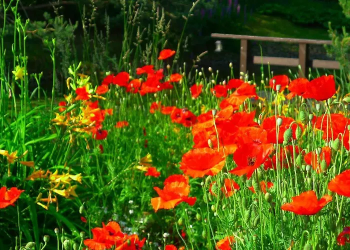 בית הארחה Provincija פלאנגה