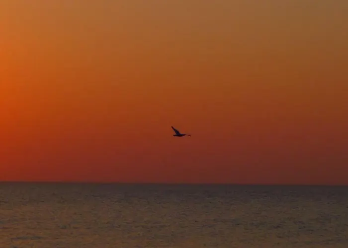 Provincija 3* פלאנגה