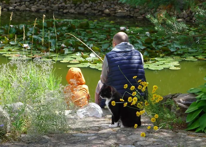 Provincija 3* פלאנגה