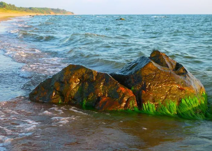Provincija בית הארחה פלאנגה