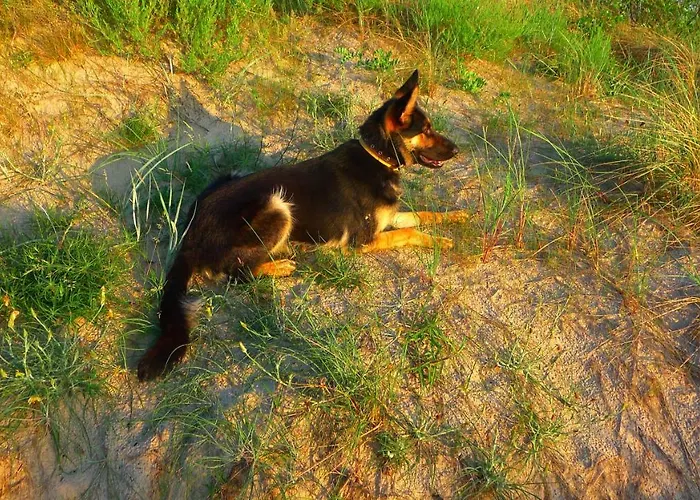 בית הארחה Provincija פלאנגה